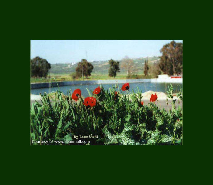 free ecards, happy new year card, seasons greetings, lebanon free ecards, send card to friends, gree